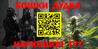 шишки Гай