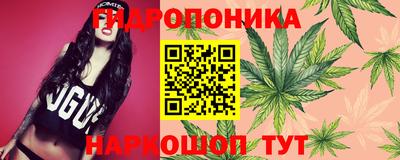 гидра Гагарин
