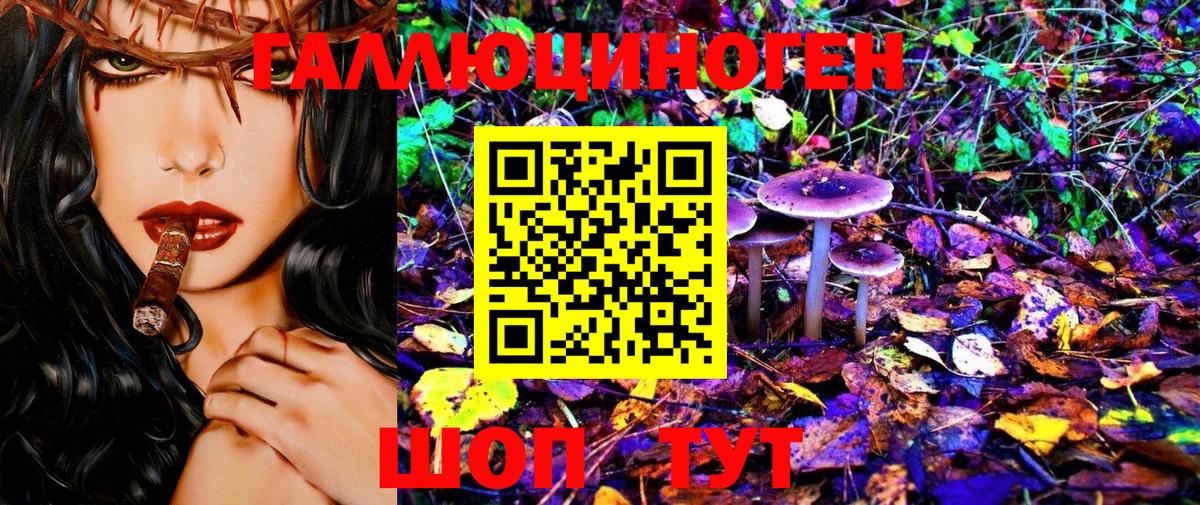 Псилоцибиновые грибы Cubensis  Псилоцибиновые грибы мухоморы  Балашиха  Вход с VPN 